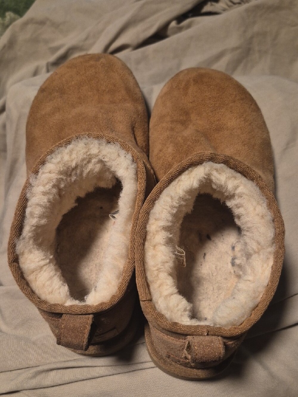 UGG Chestnut Suede Shearling Booties - Picture 4 of 9